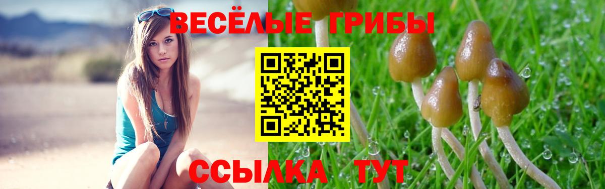 Псилоцибиновые грибы Cubensis Мелеуз