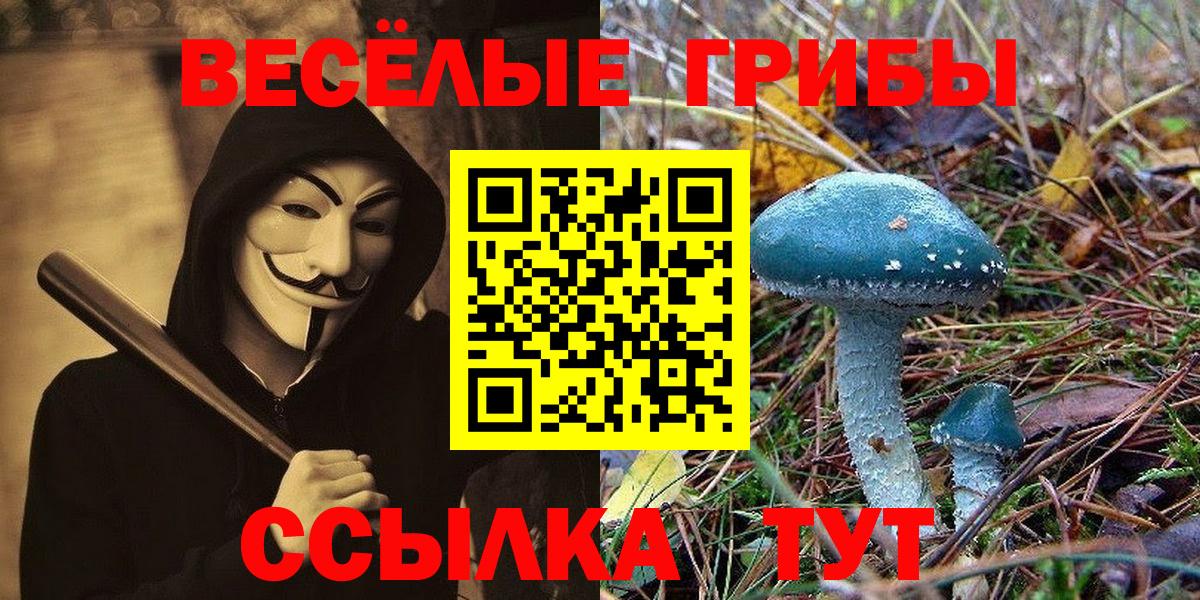 Галлюциногенные грибы мухоморы  Вход с VPN  Мелеуз  Псилоцибиновые грибы мицелий 
